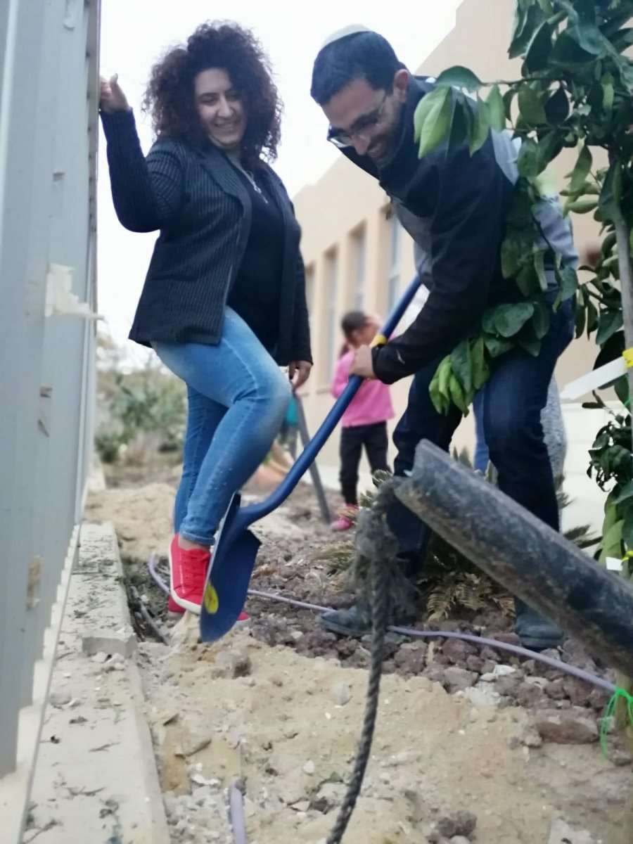 נטיעות במרכז הצעירים בדימונה