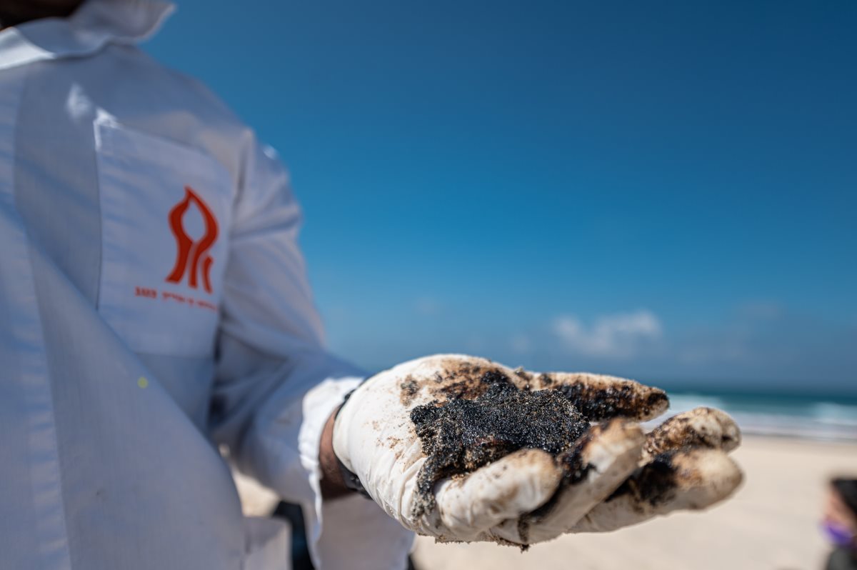 צילום: דני מכליס, אוניברסיטת בן גוריון בנגב