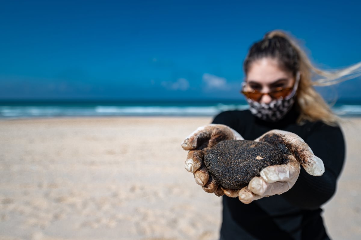 צילום: דני מכליס, אוניברסיטת בן גוריון בנגב