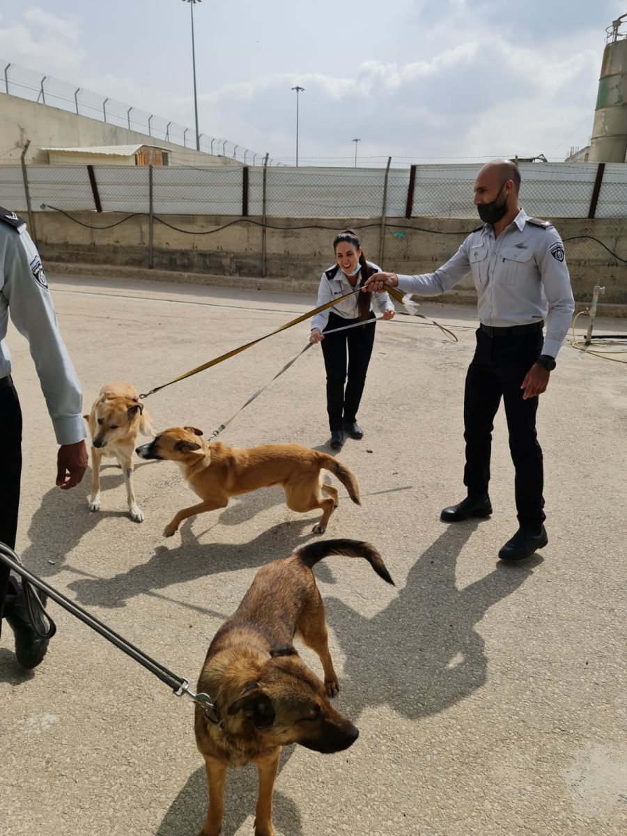 קרדיט דוברות שב"ס