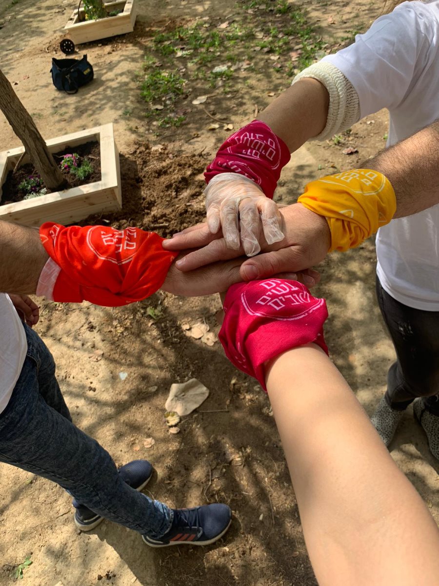 קרדיט עובדי הביטוח לאומי