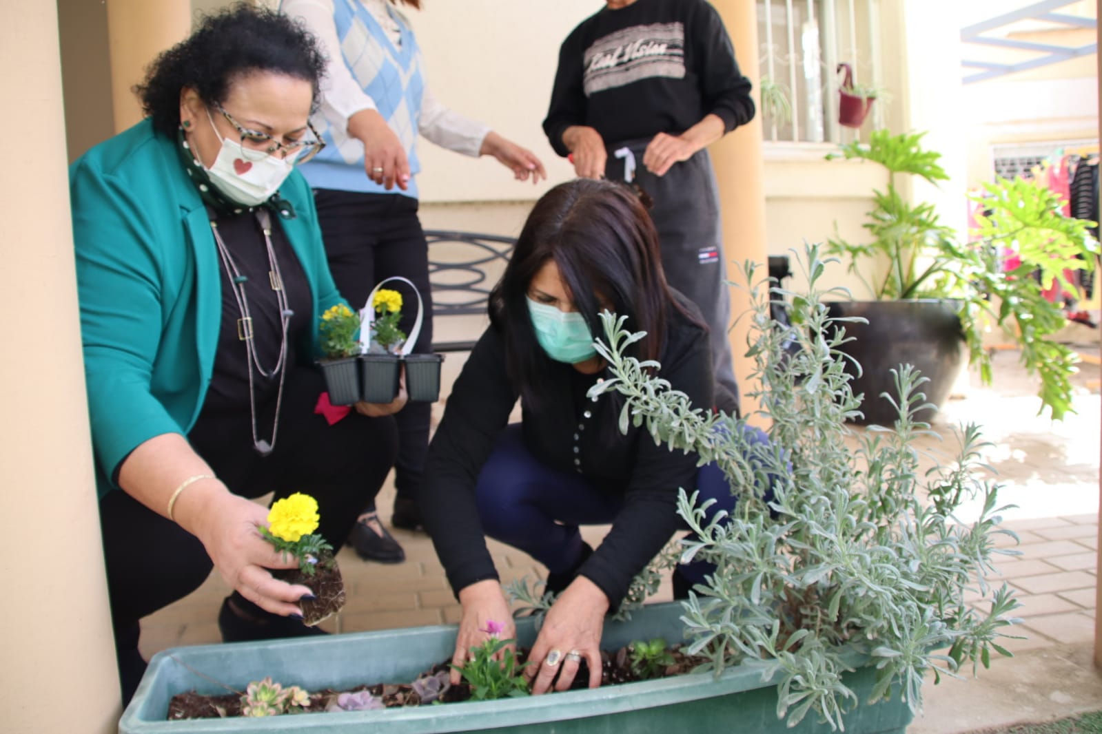 צילומים דוברות כללית מחוז דרום