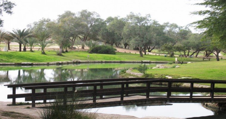 פארק אשכול צילום לבנת גינצבורג