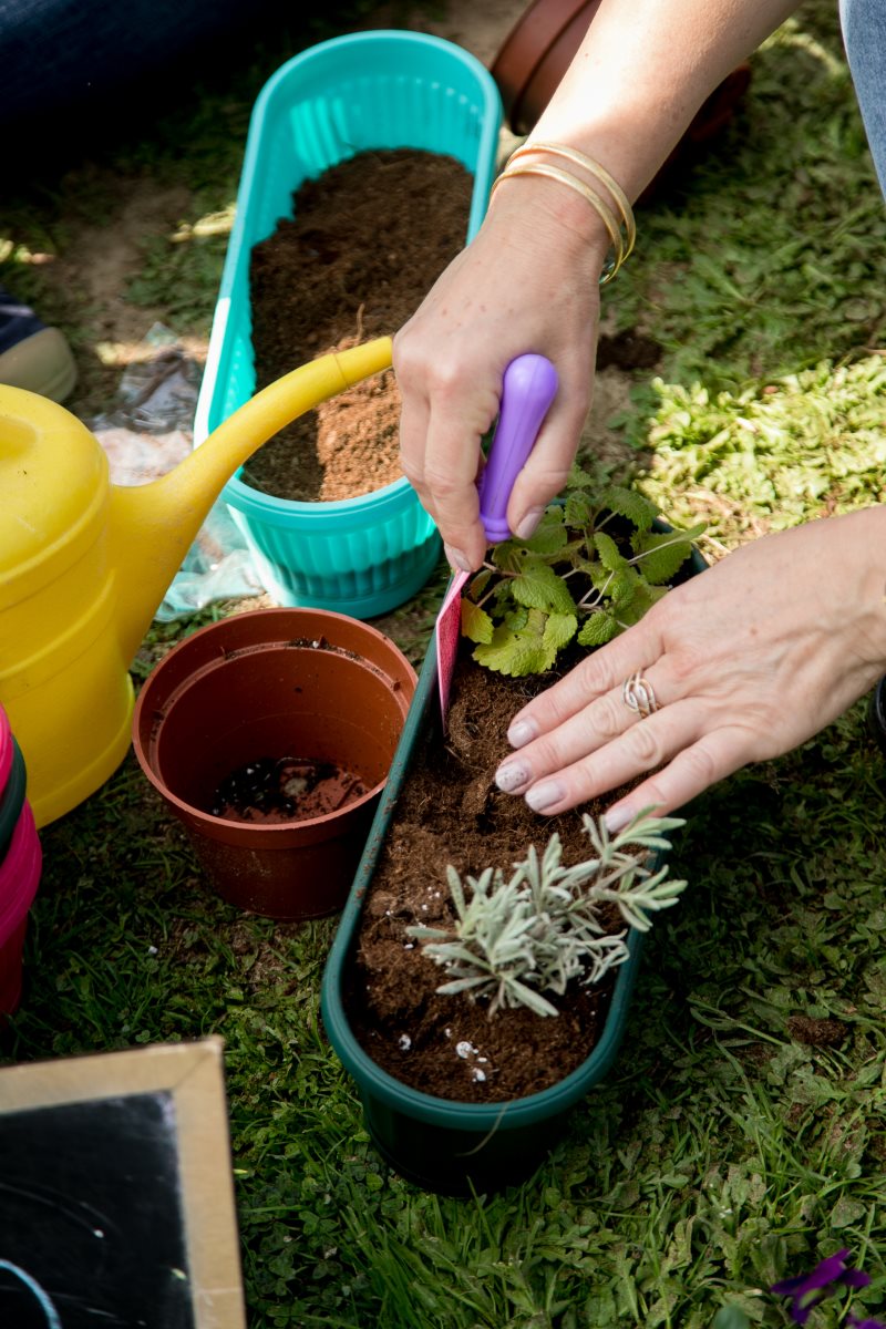 קרדיט - אדוה ברזילי, מסטודיו בוטיקה 