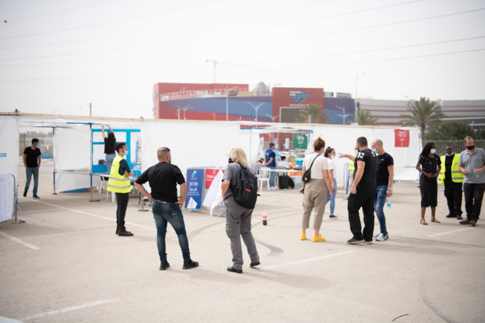 צילום: דלב מכלוף