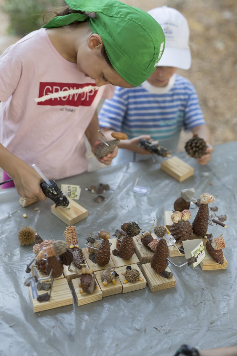 קרדיט חיים ורסנו, מערך הסברה קק"ל