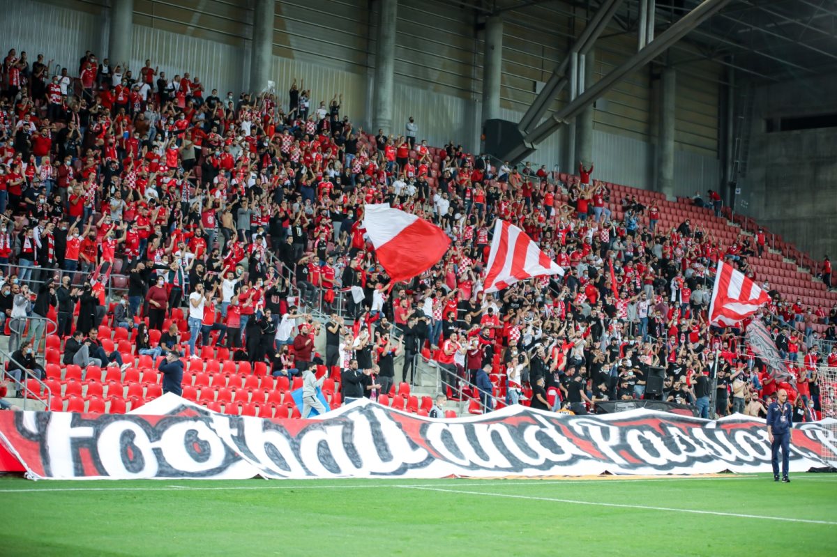 צילום: זאב דיקמן