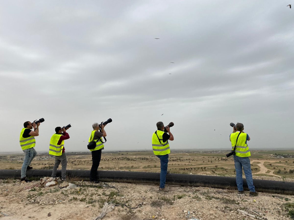 קרדיט באדיבות פארק דודאים