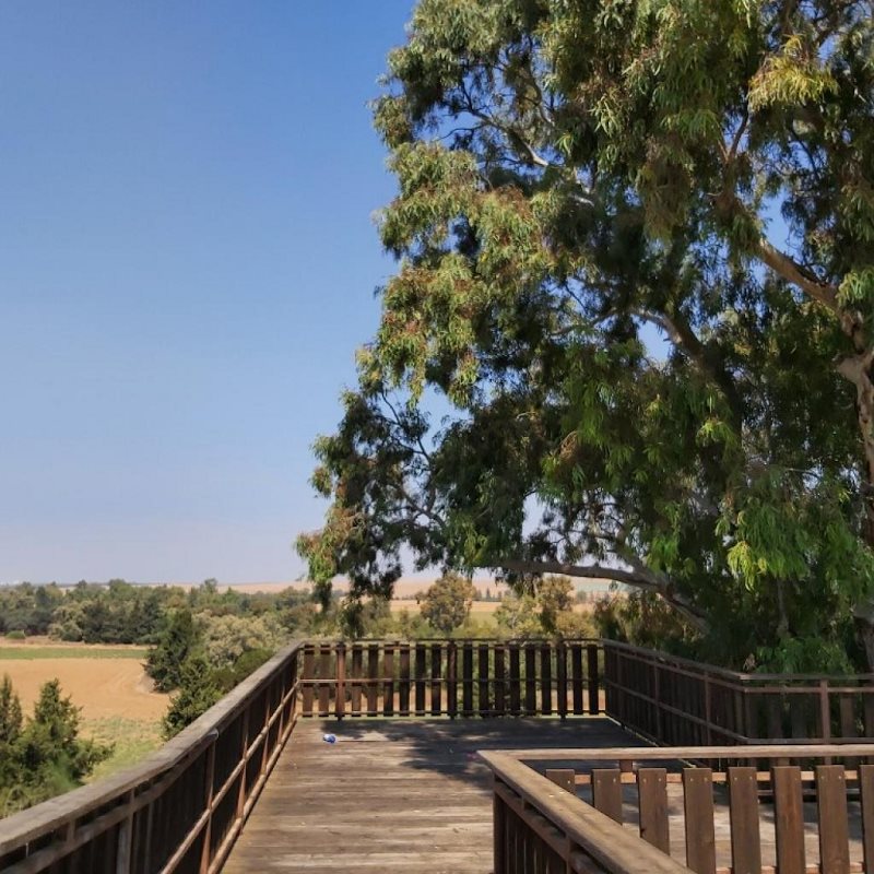 תצפית אורלי נוף דורות - מתוך אפליקציית מטרונגב