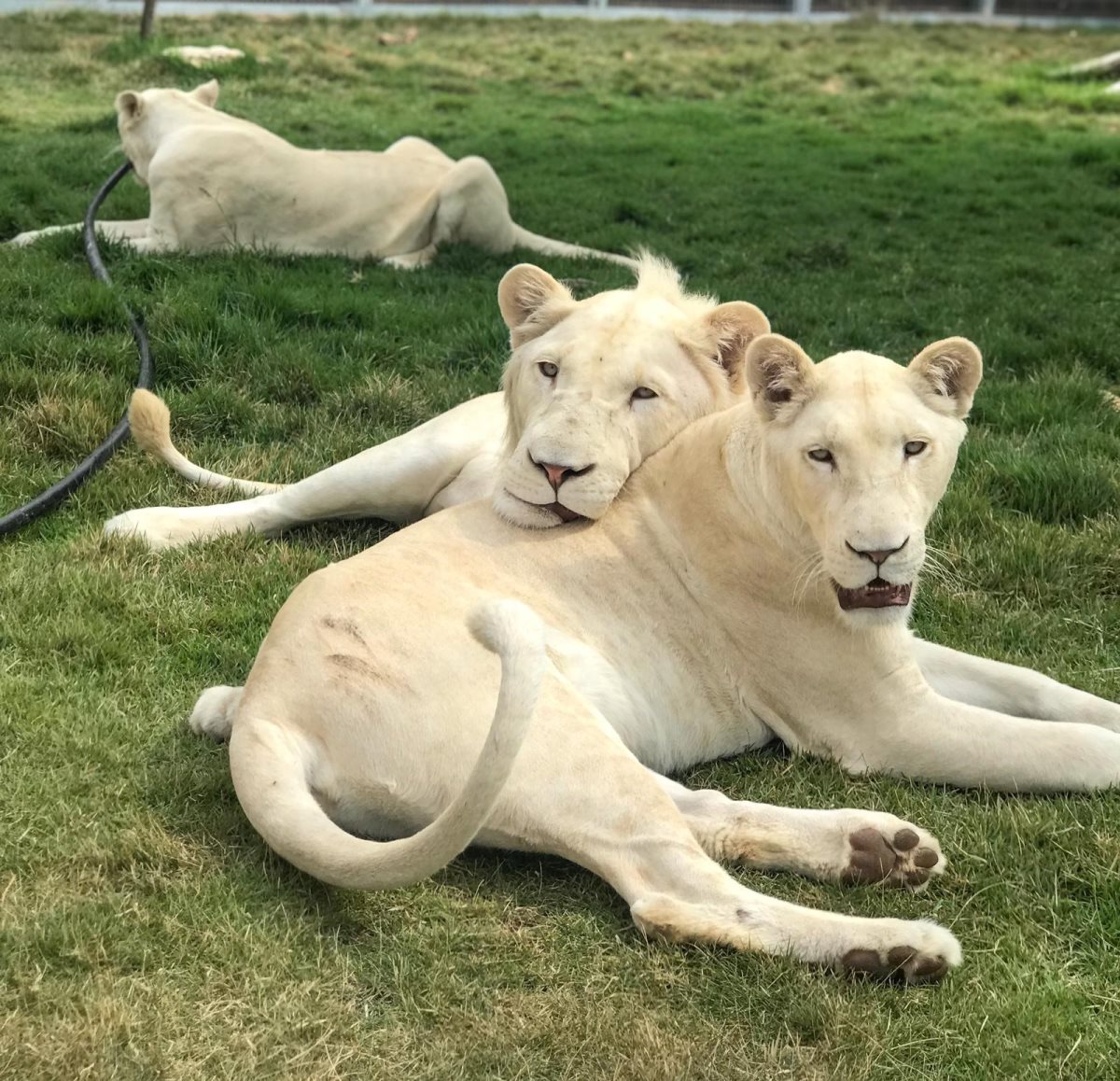 באדיבות עיריית באר שבע