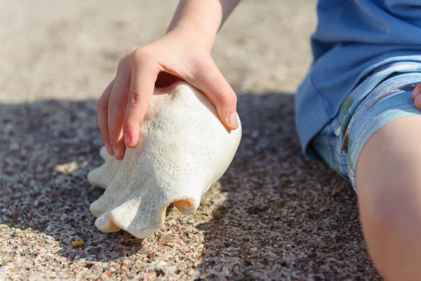 צילום: איה בן עזרי