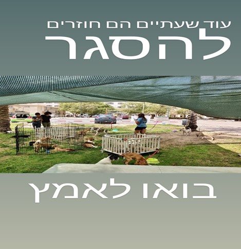יום אימוץ של העמותה. קרדיט לתמונה : רז ישעיהו