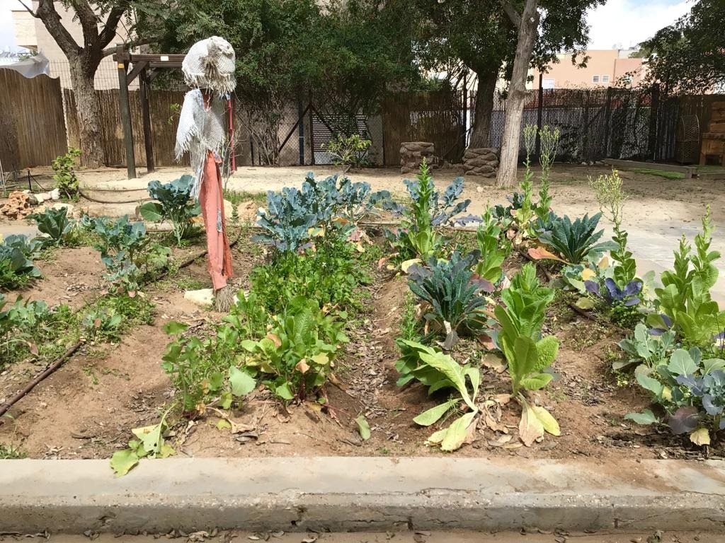 צילום: מישל פרוויין