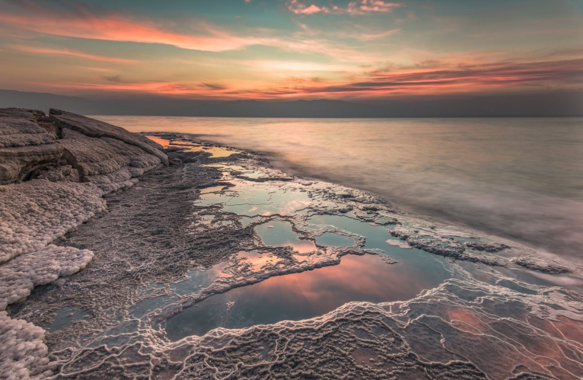 קרדיט דורית ברקוביץ