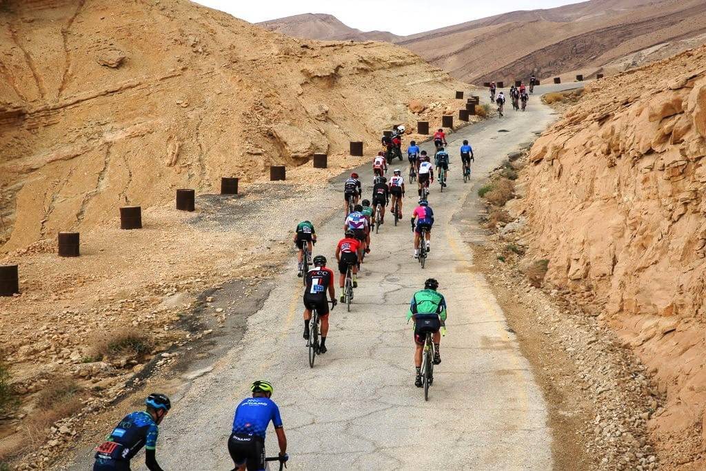 צילום תומר פדר