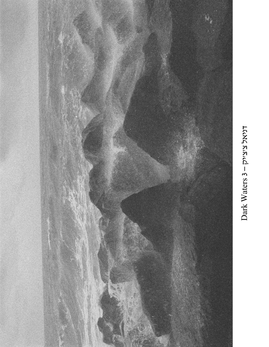 קרדיט דניאל צ'צי'ק