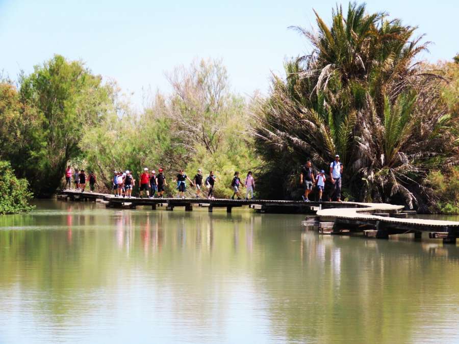 צילום: שרית פלצ'י-מיארה, בשמורת טבע עין אפק