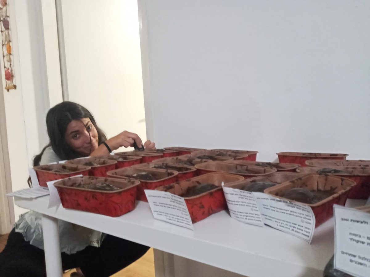 צילום: רחלי ברבי