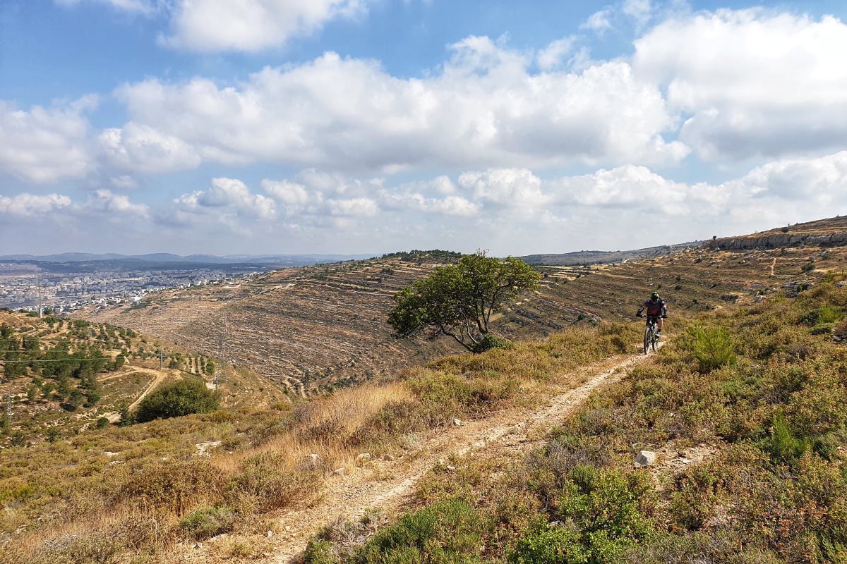 צילום אילוסטרציה Shutterstock