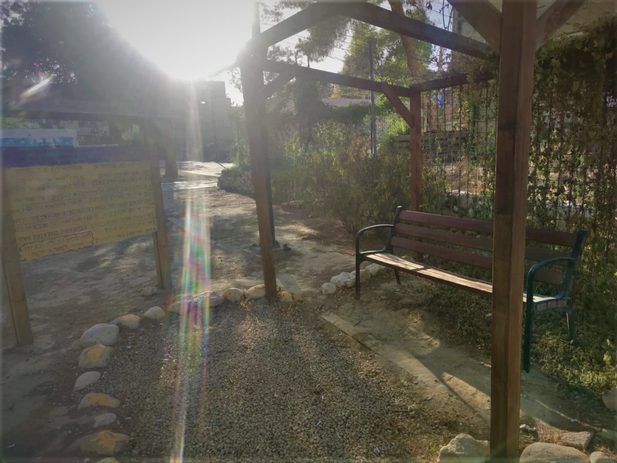 צילום: סתיו ליבנה