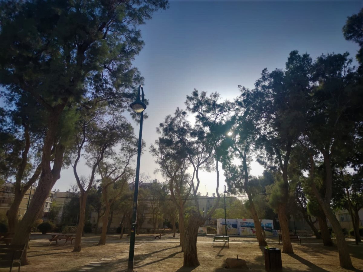 צילום: סתיו ליבנה