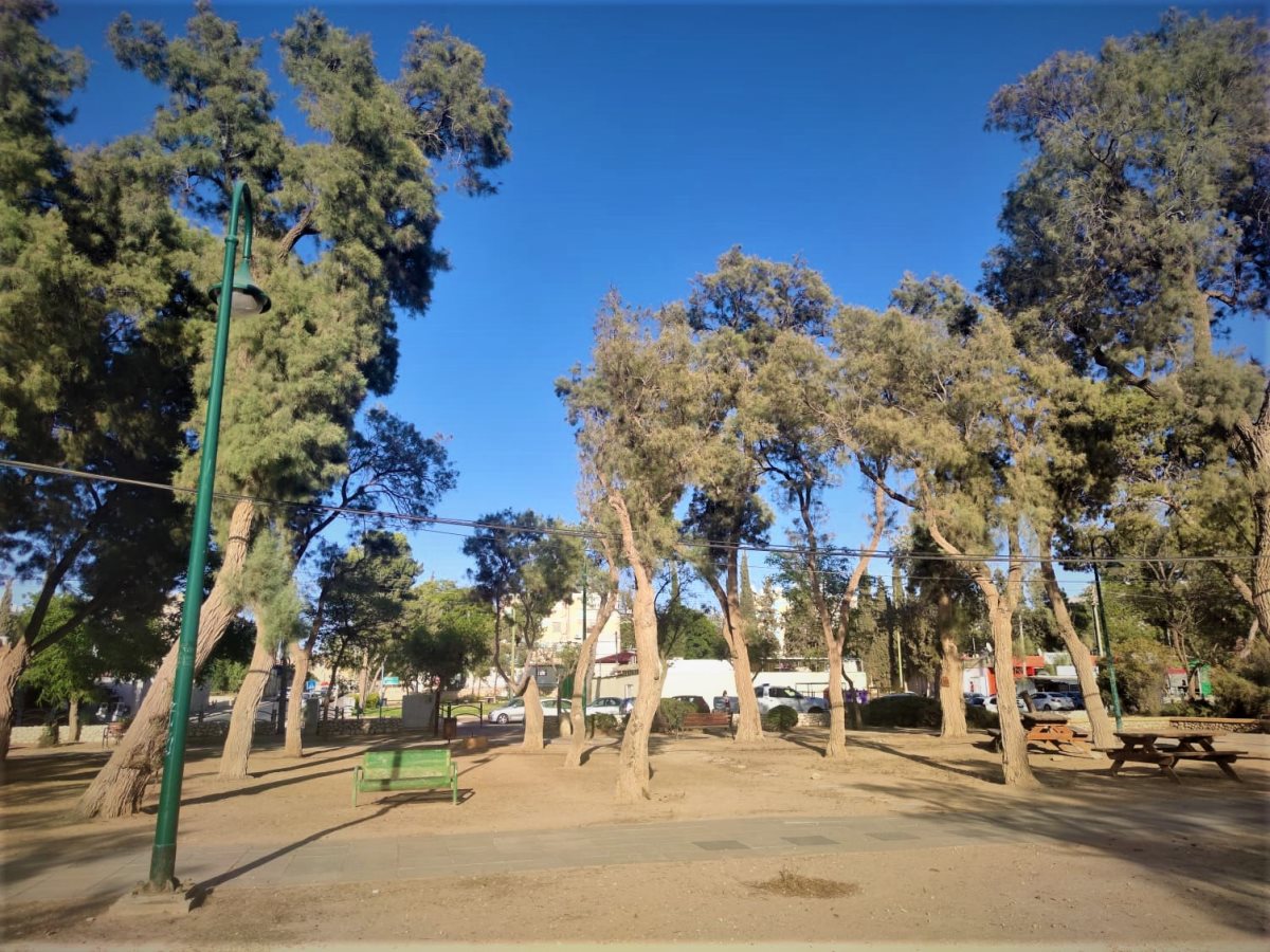 צילום: סתיו ליבנה