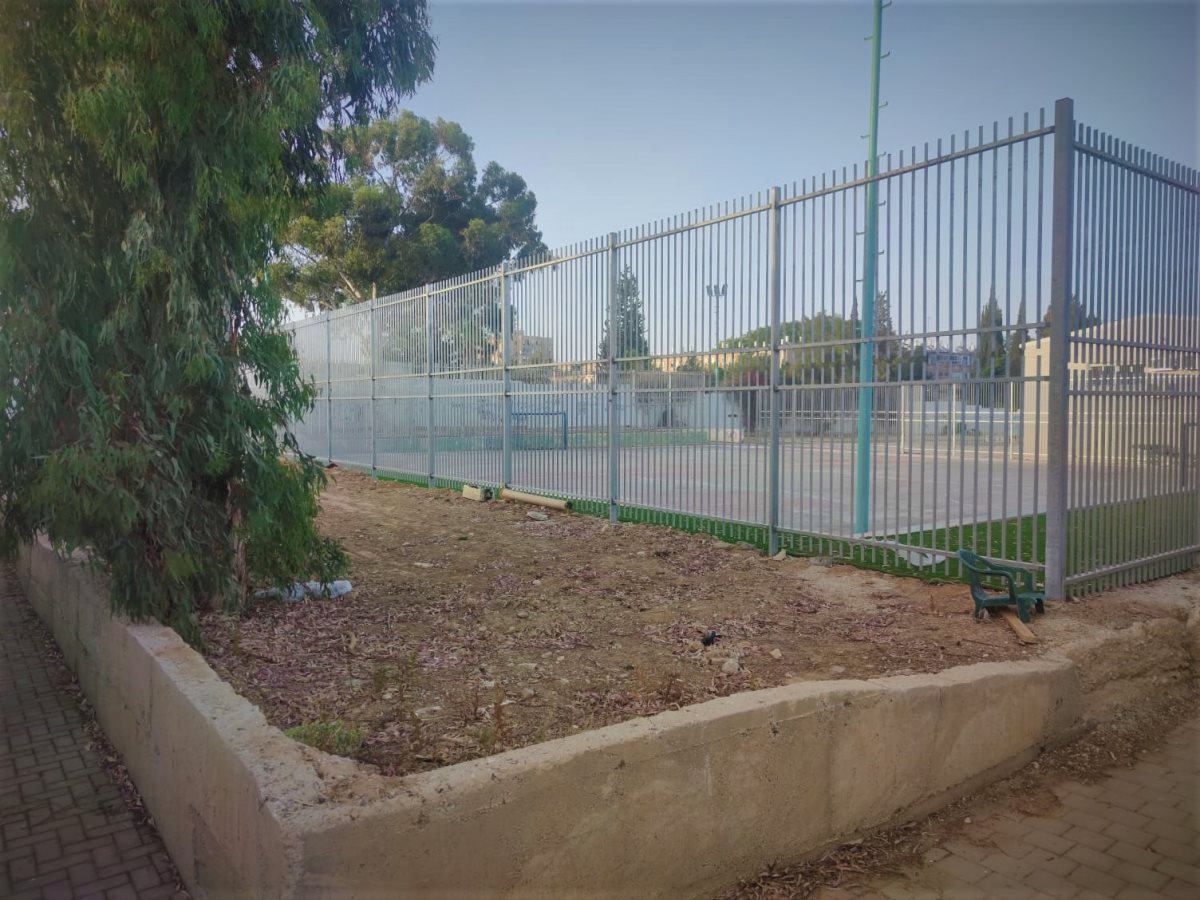 צילום: סתיו ליבנה