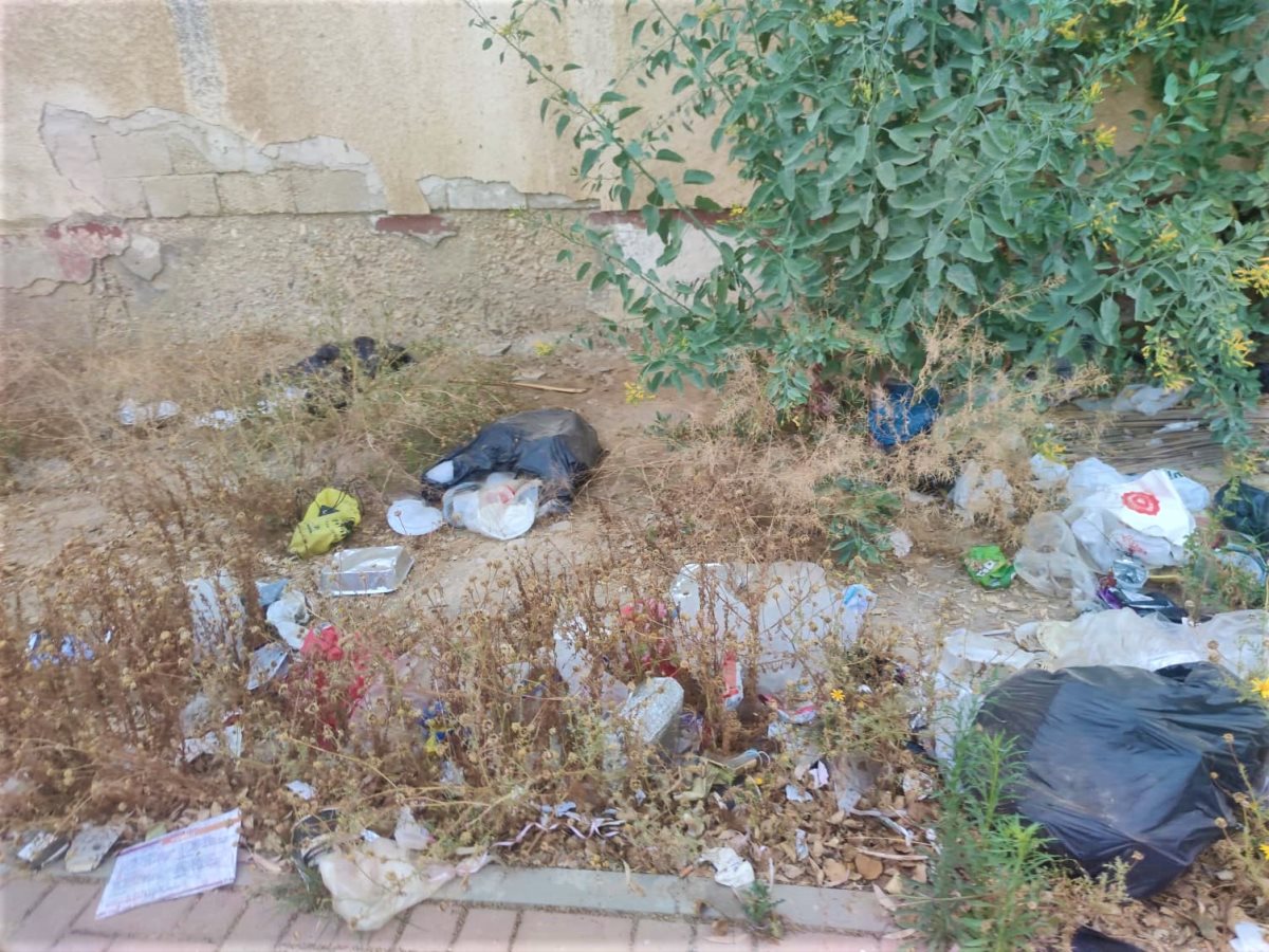 צילום: סתיו ליבנה