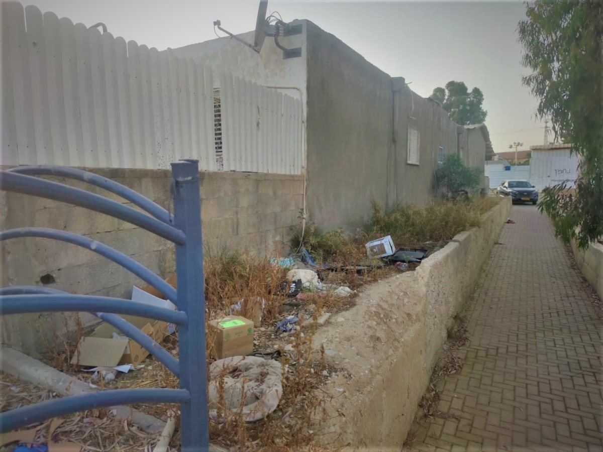 צילום: סתיו ליבנה