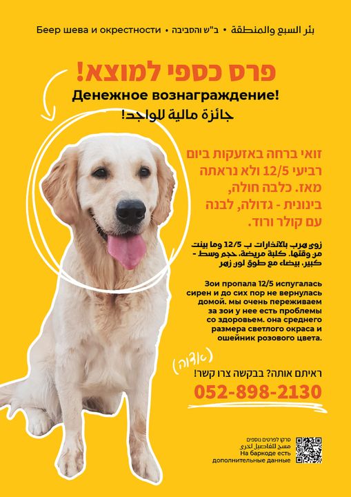 עיצוב: עינב שלו