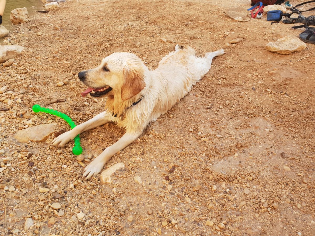 צילום: אדווה אהרון