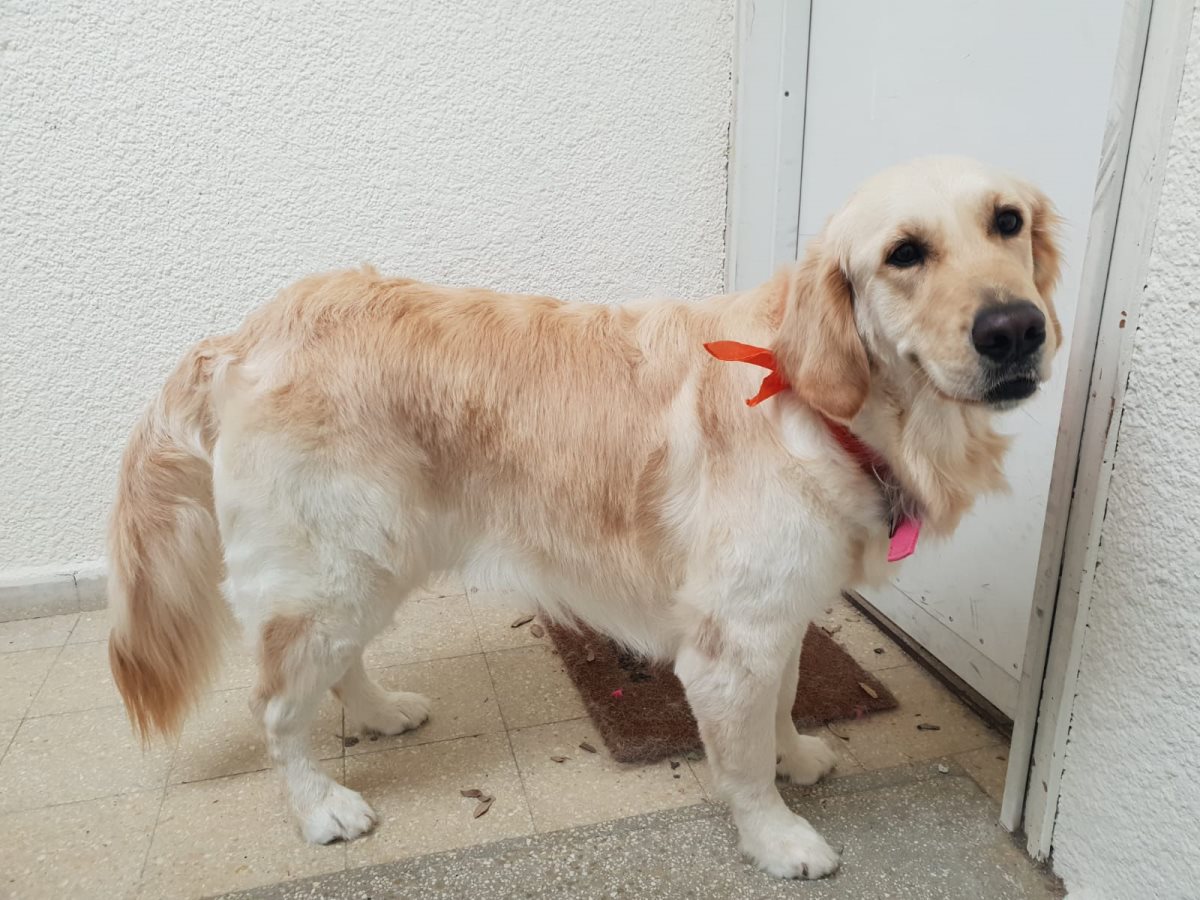 צילום: אדווה אהרון