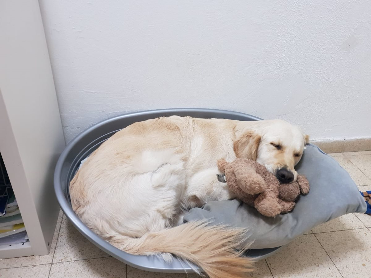 צילום: אדוה אהרון