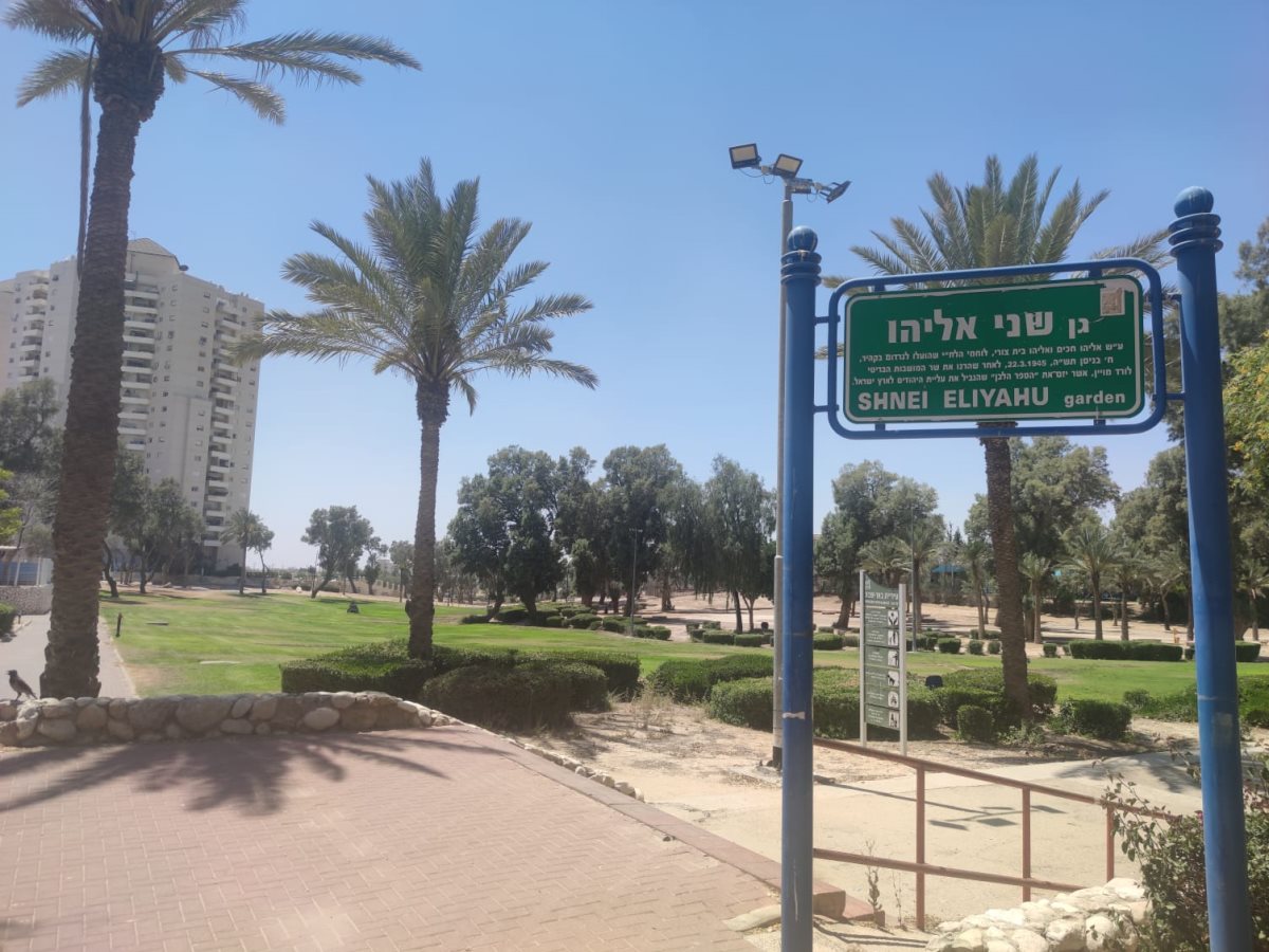 צילום: סתיו ליבנה