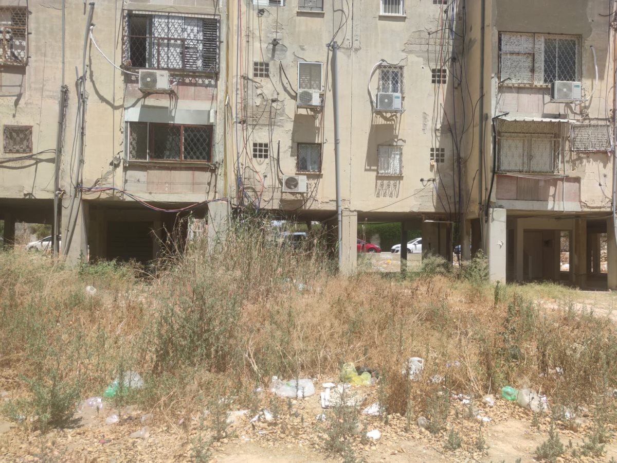 צילום: סתיו ליבנה