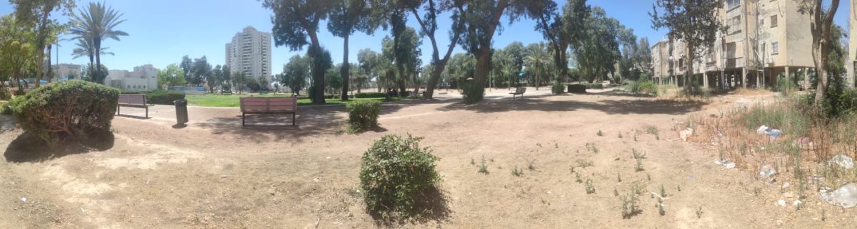 צילום פנורמי: משמאל פארק מטופח, מטרים ספורים משם לכלוך, זבל וצמחייה מסוכנת