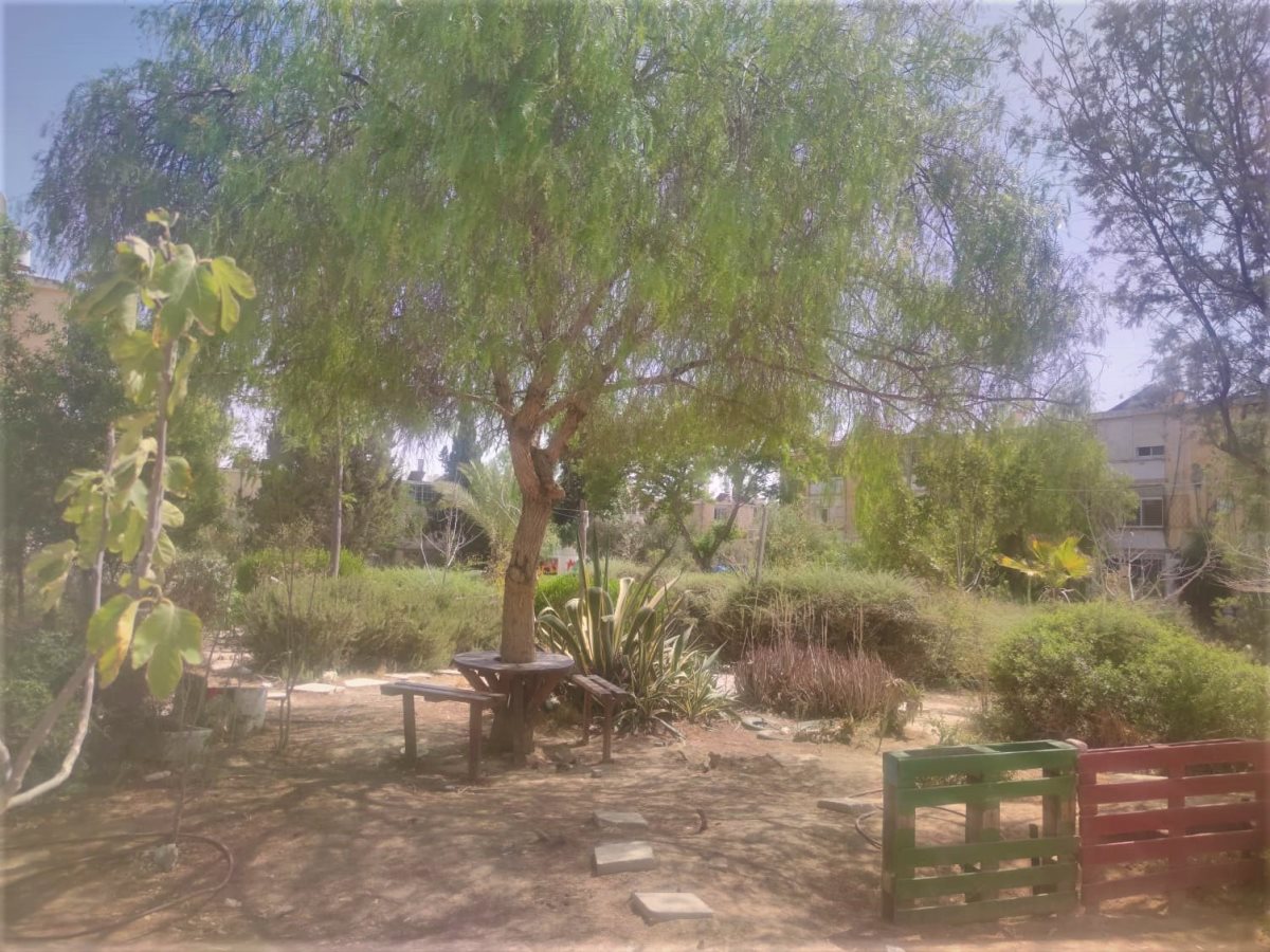 צילום: סתיו ליבנה