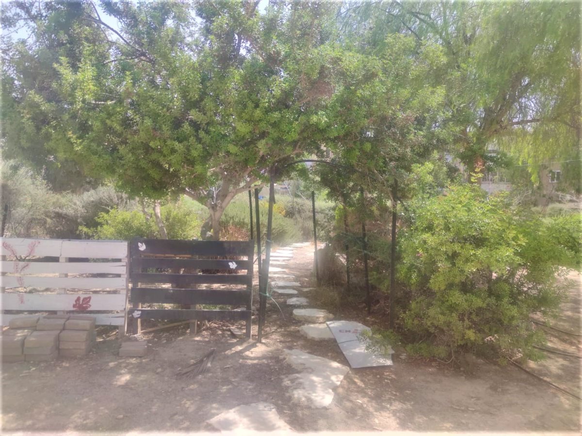 צילום: סתיו ליבנה