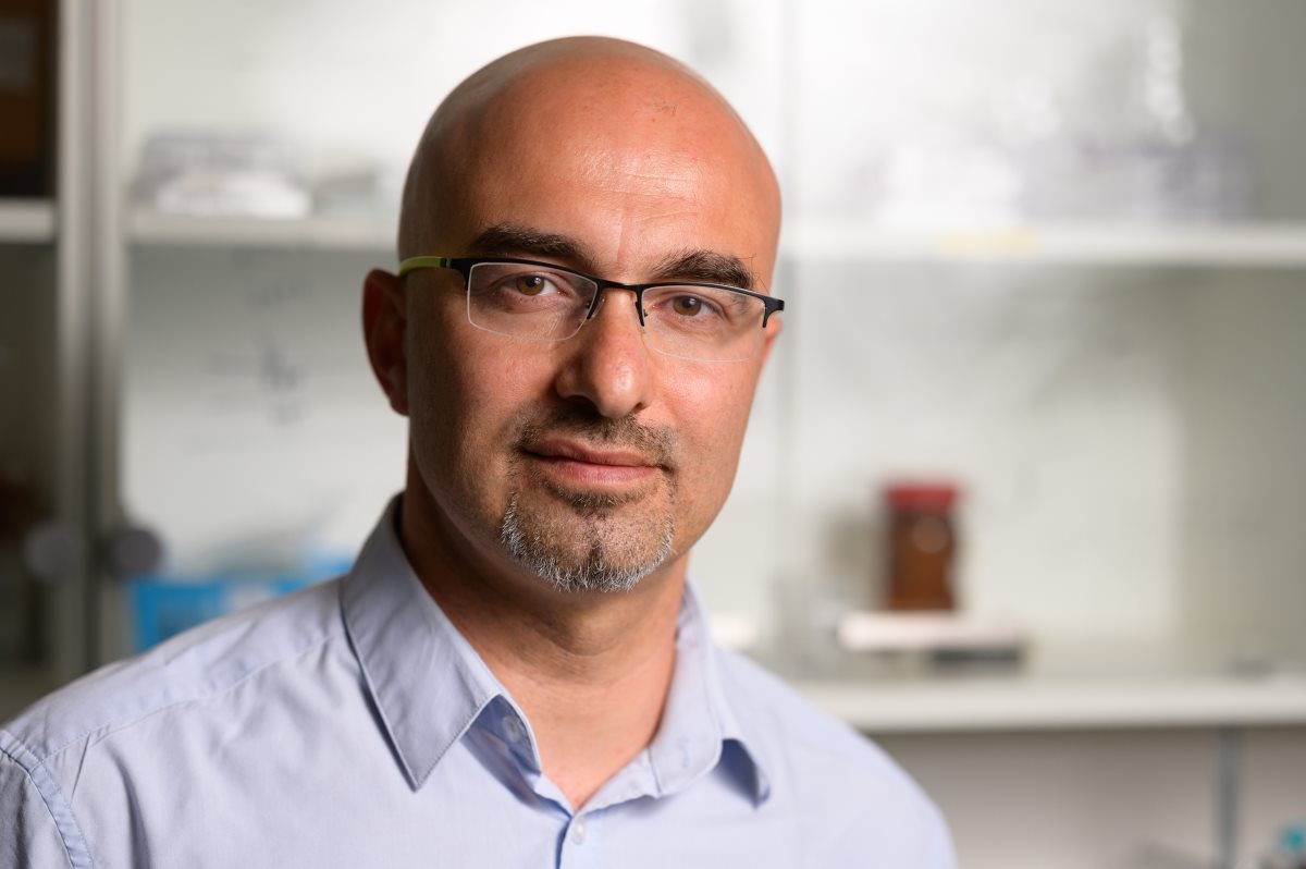 פרופ' מארק שוורצמן. צילום: דני מכליס, אוניברסיטת בן-גוריון בנגב