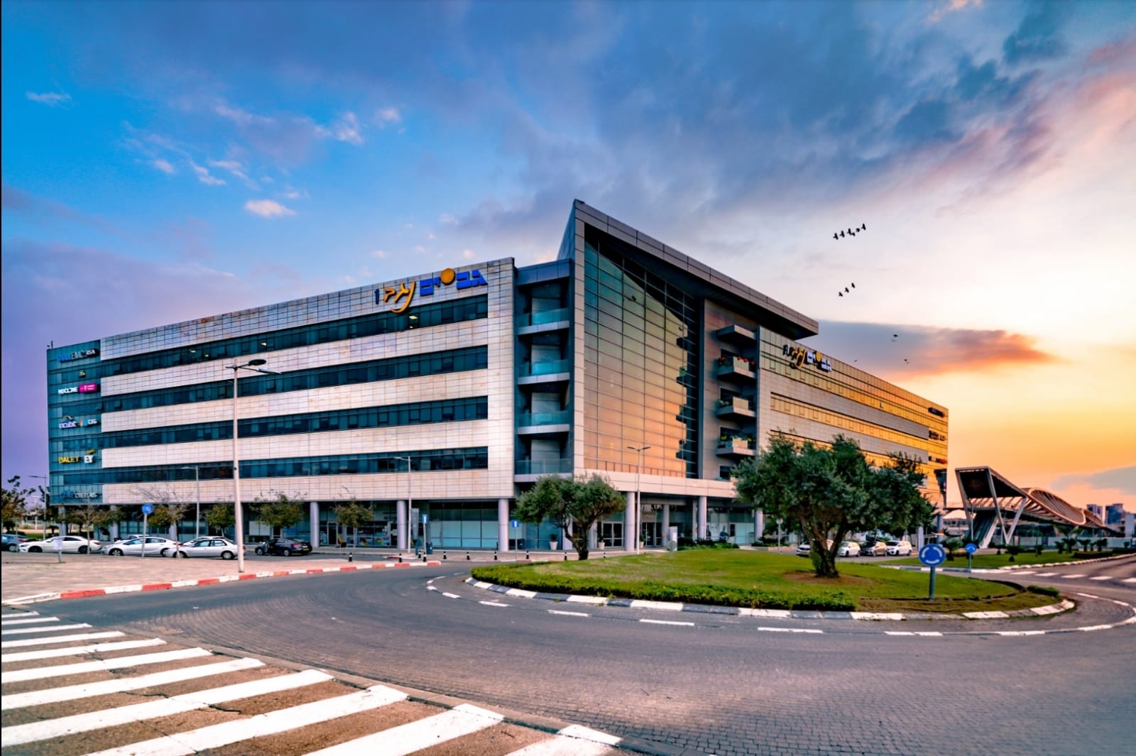 צילום: מיכאל דורון