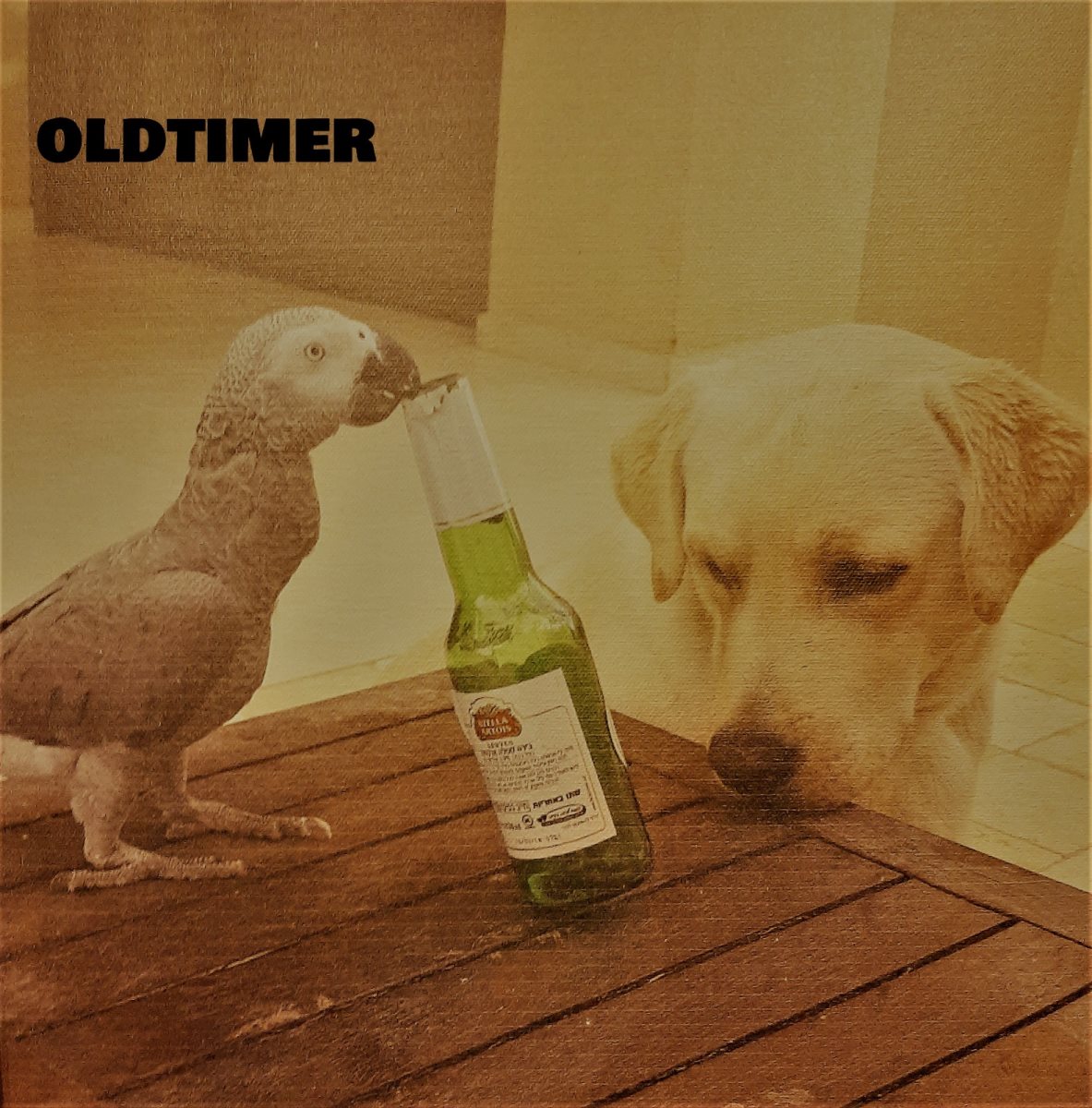 עטיפת האלבום