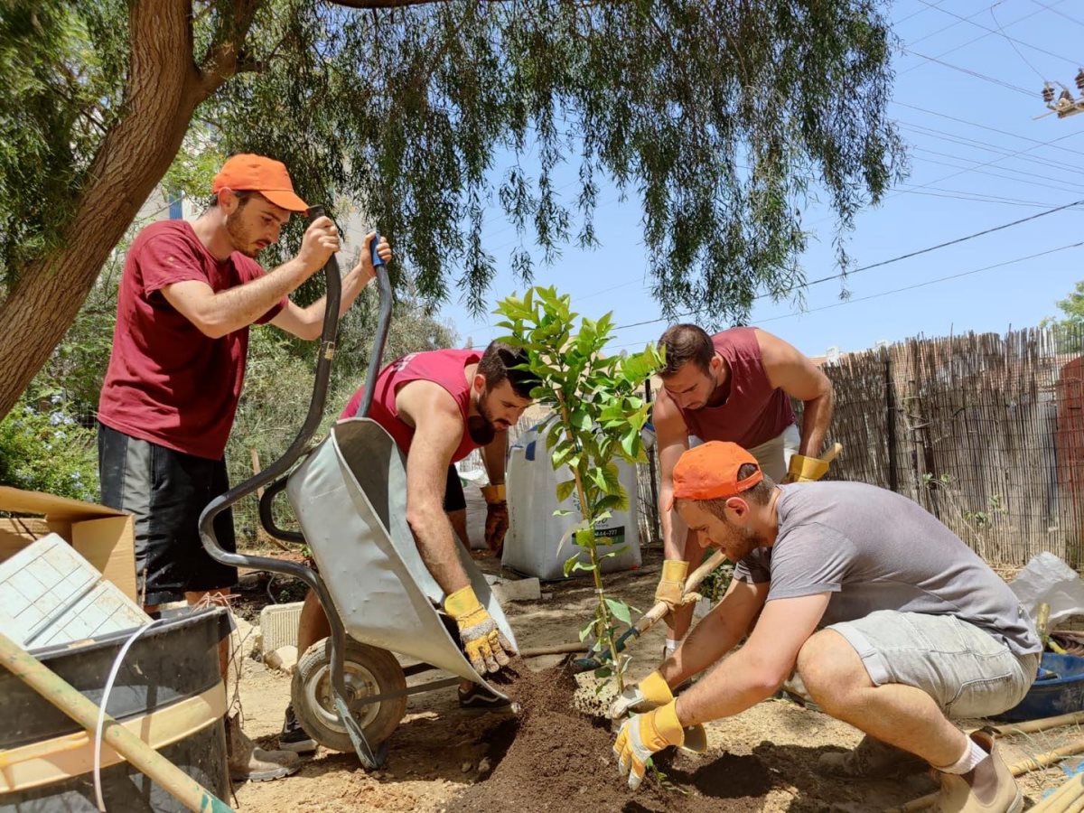 צילום: אדיר כהן