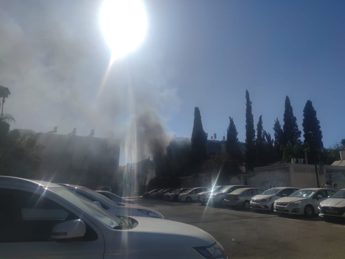 צילום: סתיו ליבנה