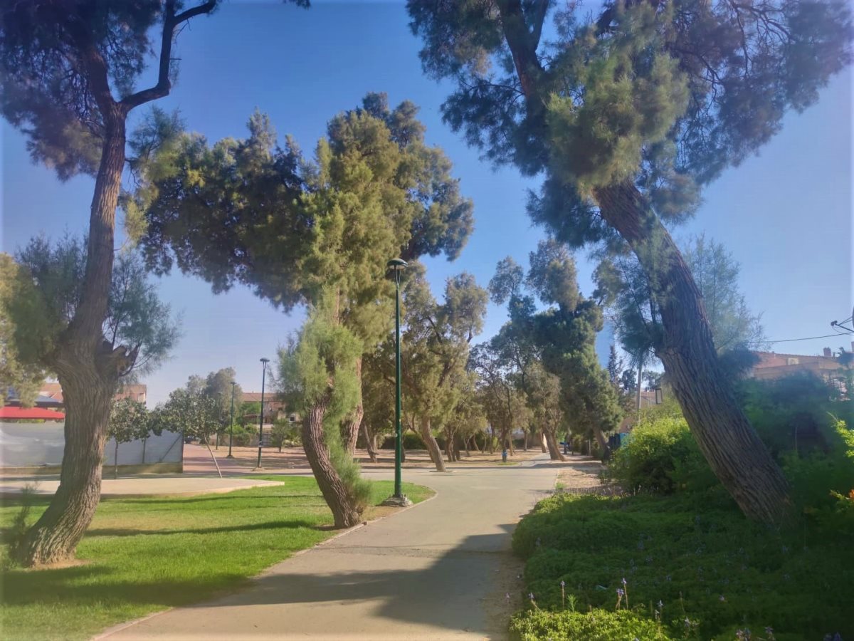 צילום: סתיו ליבנה