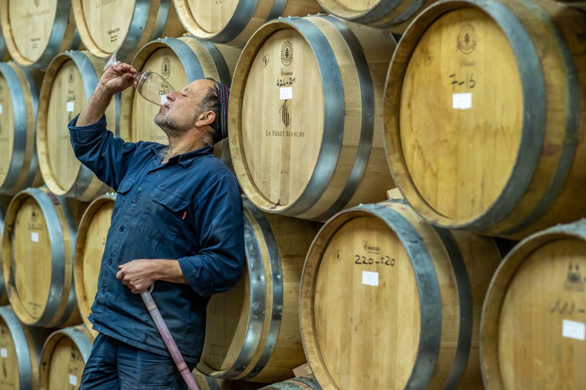 היינן ברונו דרמון מיקב לה פורה בלאנש. צילום: גיל אבירם