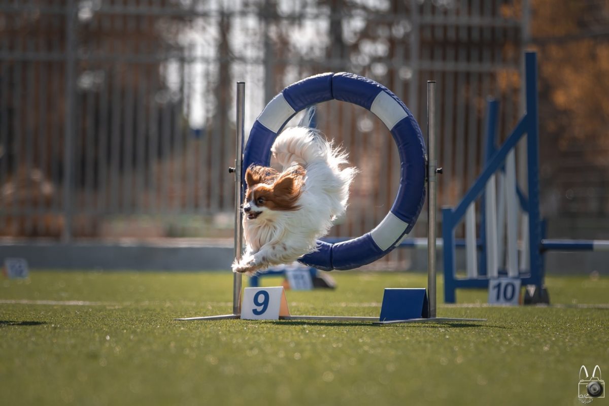 צילום: מאיר גור