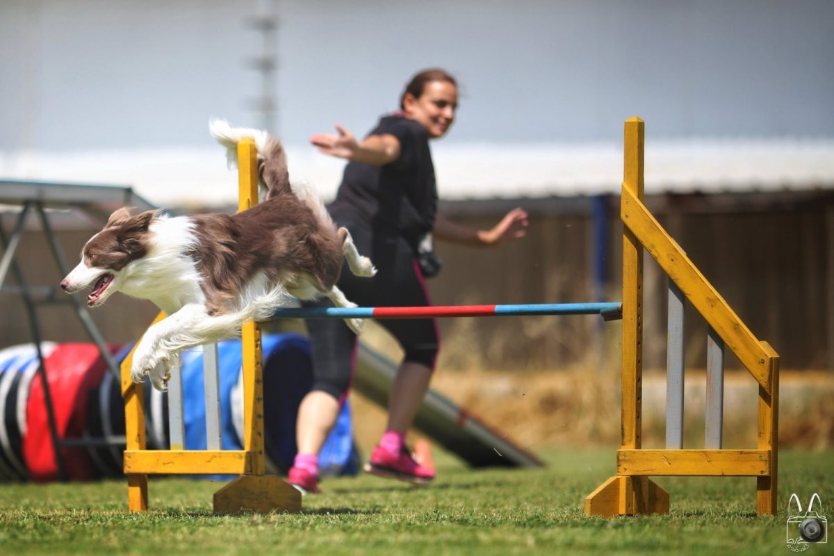 צילום: מאיר גור