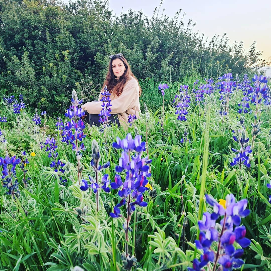 באדיבות לידור זקס