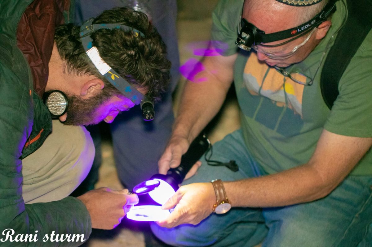 סיורי עקרבים, צילום: רני שטורם