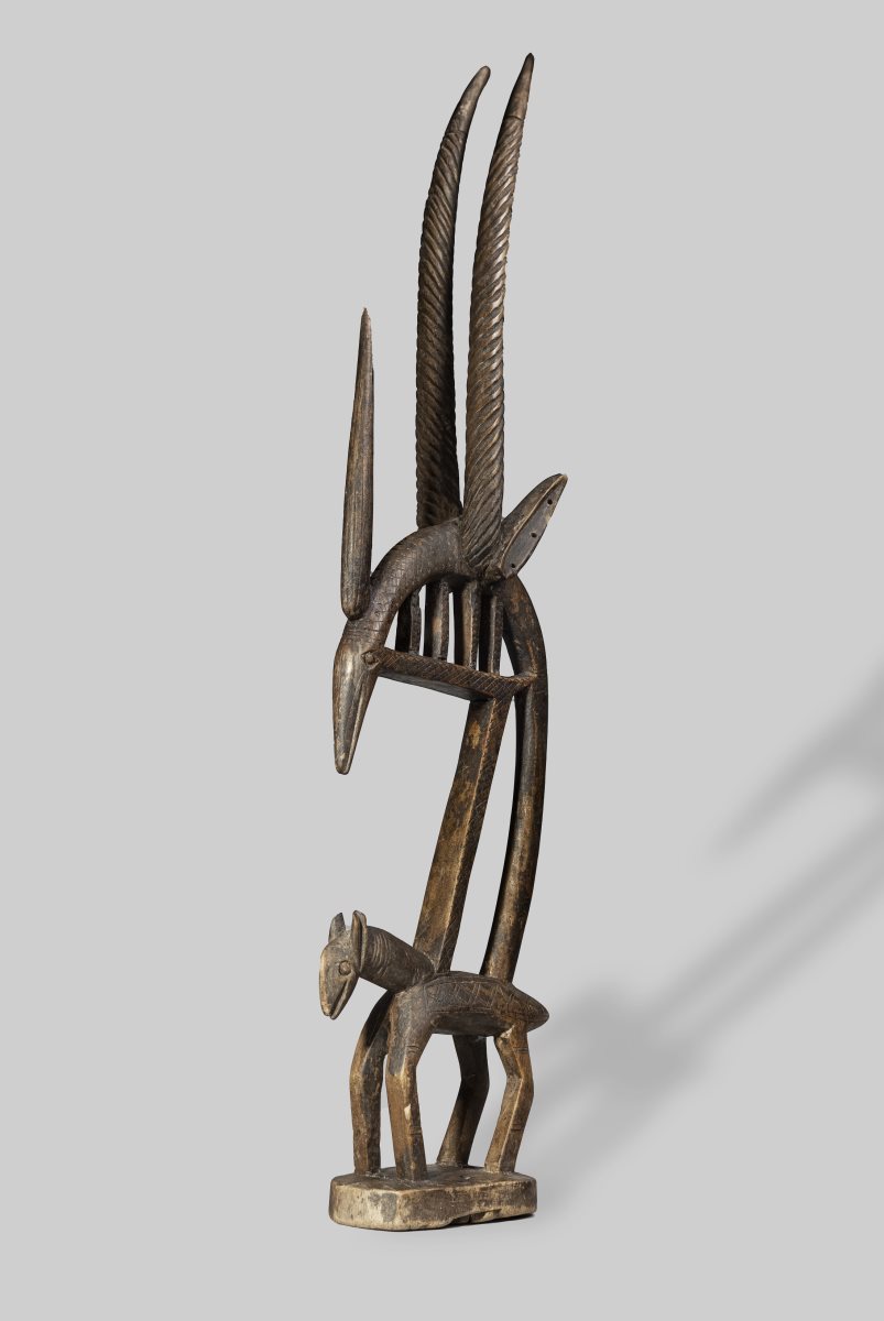 צילום דוריאן גוטליב